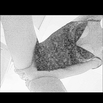 Sonali - Puurs-Sint-Amands - Anvers | Plan Cul