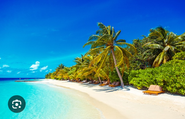 Bernardo - Stavelot - Liège | Plan Cul