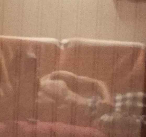 Sadek - Ixelles - Bruxelles-Capitale | Plan Cul