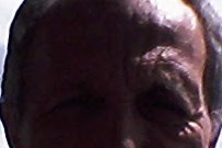 Sina - Niel - Anvers | Plan Cul