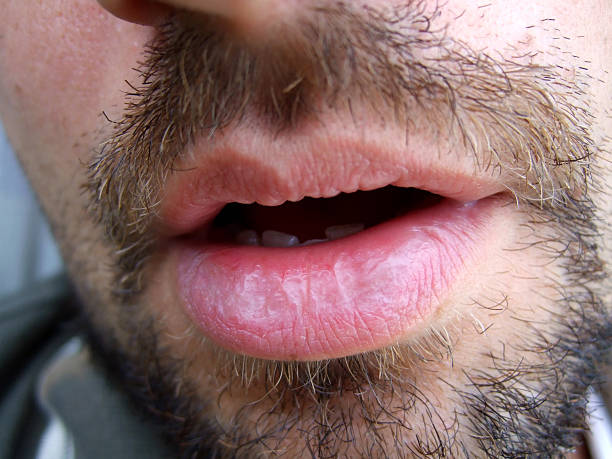 Gustav - Houyet - Namur | Plan Cul