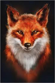 Yacin - Beauvechain - Brabant wallon | Plan Cul